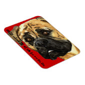 Bullmastiff-Farbblock Magnet (Rechte Seite)