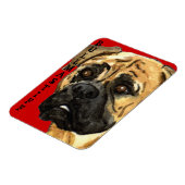 Bullmastiff-Farbblock Magnet (Linke Seite)