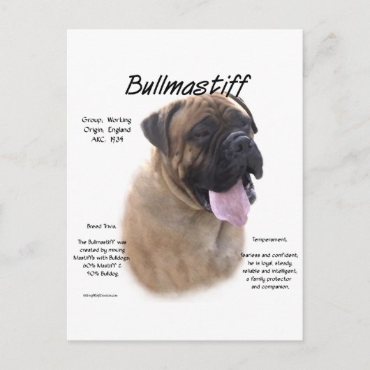 Bullmastiff (fawn) History Design Postkarte (Vorderseite)