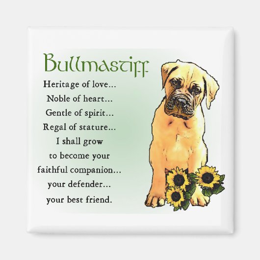 Bullmastiff-Geschenke Magnet (Vorne)