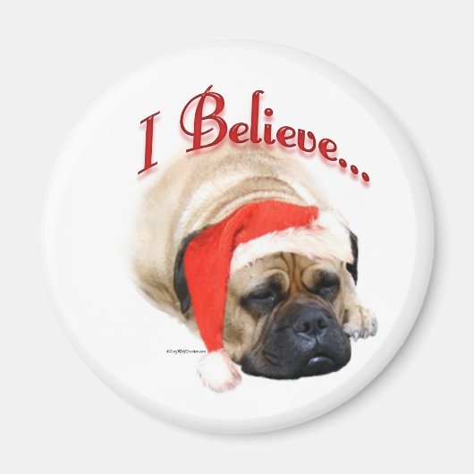 Bullmastiff I glaube - Magnet (Vorne)