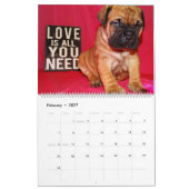 Bullmastiff Kalender 2016 (Feb 2027)