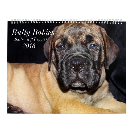 Bullmastiff Kalender 2016 (Titelbild)