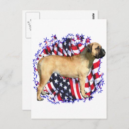 Bullmastiff Patriot Postkarte (Vorne/Hinten)