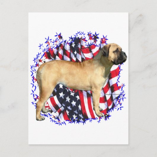 Bullmastiff Patriot Postkarte (Vorderseite)