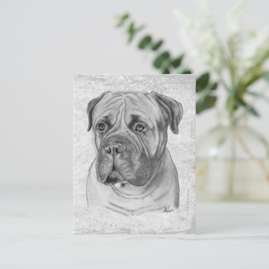 Bullmastiff Postkarte (Stehend Vorderseite)