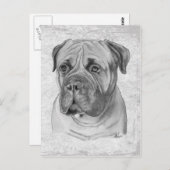 Bullmastiff Postkarte (Vorne/Hinten)