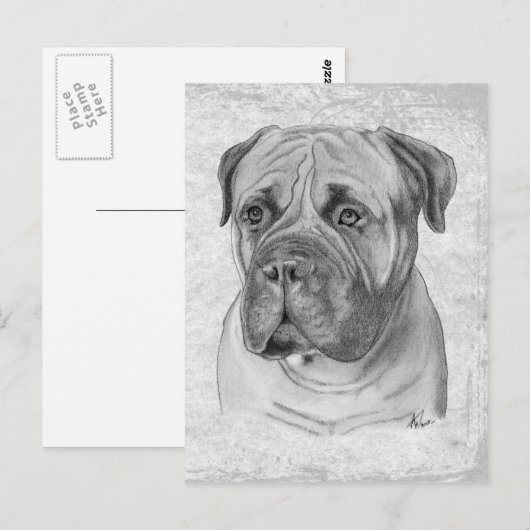 Bullmastiff Postkarte (Vorne/Hinten)
