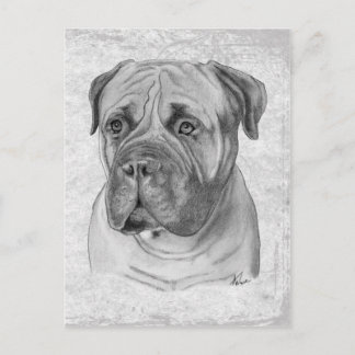Bullmastiff Postkarte
