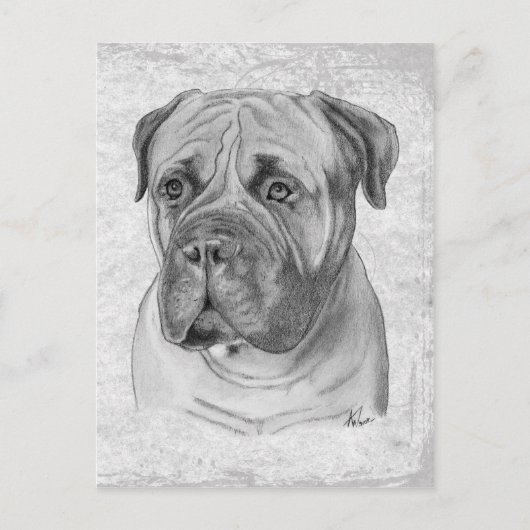 Bullmastiff Postkarte (Vorderseite)