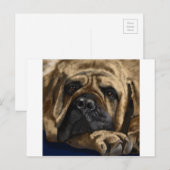 Bullmastiff Postkarte (Vorne/Hinten)