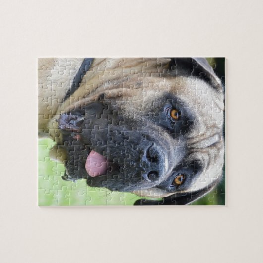 Bullmastiff Puzzle (Horizontal)
