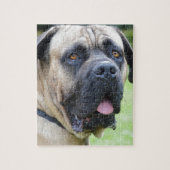 Bullmastiff Puzzle (Vertikal)