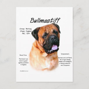 Bullmastiff (rot) History Design Postkarte