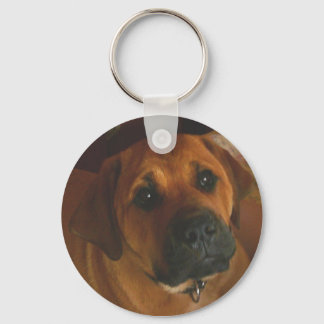 BullMastiff-Schlüsselanhänger Schlüsselanhänger