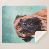 Bullmastiff Sherpadecke (Vorderseite (Horizontal))