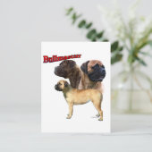Bullmastiff Trio 2 Postkarte (Stehend Vorderseite)