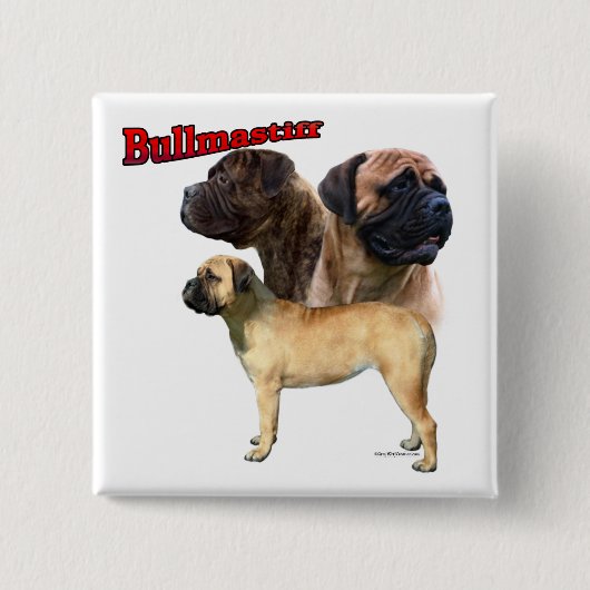 Bullmastiff Trio 2 - Schaltfläche Button (Vorderseite)