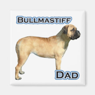 Bullmastiff Vater 4 - Magnet
