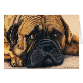 Bullmastiff Wart - Hundebüt Art