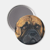 Bullmastiff Wart - Hundebüt Art Magnet (Vorderseite/Rückseite)