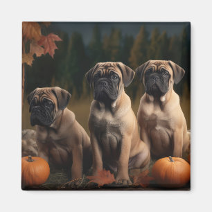 Bullmastiff Welpe Autumn Delight Pumpen Magnet