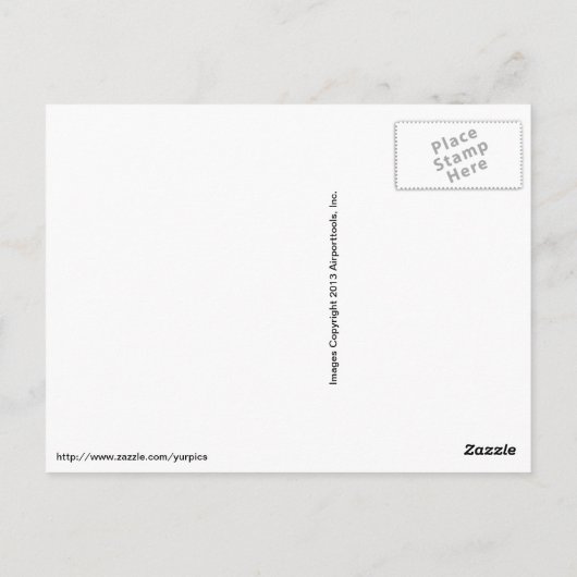 Bullock-Oriole Postkarte (Rückseite)