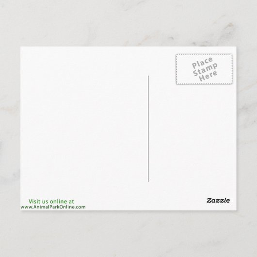 Bullock-Orol Postkarte (Rückseite)