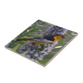 Bullocks Oriole Fliese (Seite)