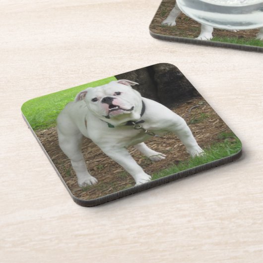 Bullodg Untersetzer (Linke Seite)