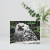 Bullowe Postkarte (Stehend Vorderseite)