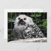 Bullowe Postkarte (Vorne/Hinten)