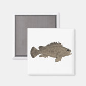 Bullrout Magnet (Vorderseite/Rückseite)