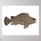 Bullrout Poster (Vorne)