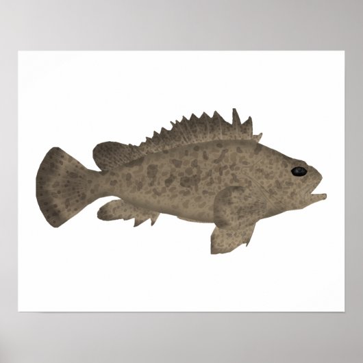 Bullrout Poster (Vorne)