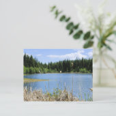 Bullrush - Marshall-See Postkarte (Stehend Vorderseite)