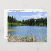 Bullrush - Marshall-See Postkarte (Vorne/Hinten)