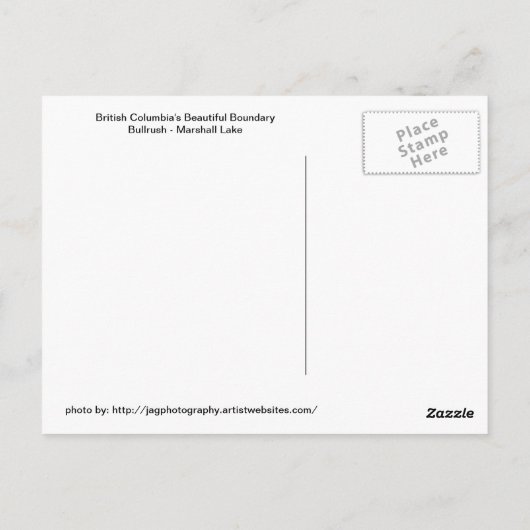 Bullrush - Marshall-See Postkarte (Rückseite)