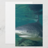 Bullshark Briefpapier (Vorne/Hinten)