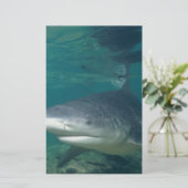 Bullshark Briefpapier (Stehend Vorderseite)
