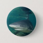 Bullshark Button (Vorderseite)