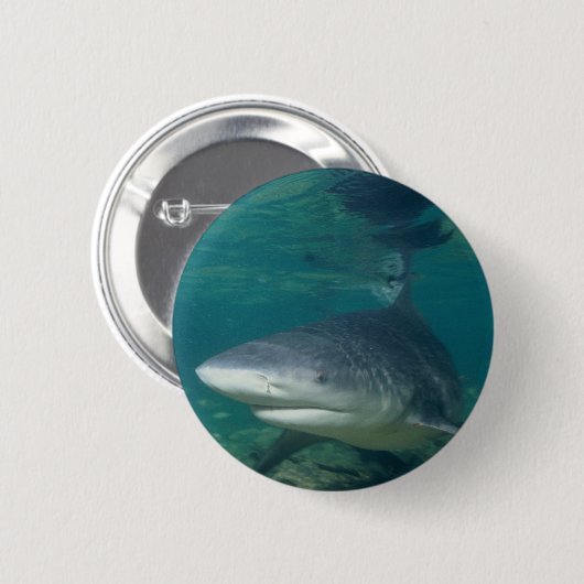 Bullshark Button (Vorne & Hinten)
