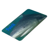 Bullshark Geist Magnet (Linke Seite)