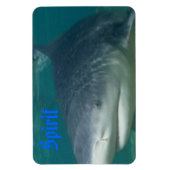 Bullshark Geist Magnet (Vertikal)