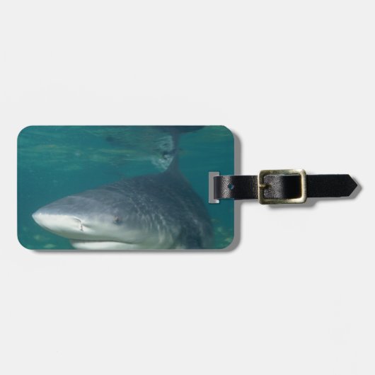 Bullshark Gepäckanhänger (Vorderseite horizontal)