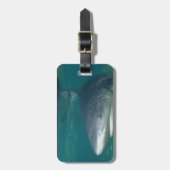 Bullshark Gepäckanhänger (Vorderseite vertikal)