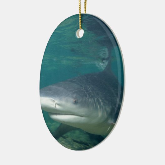 Bullshark Keramik Ornament (Links)