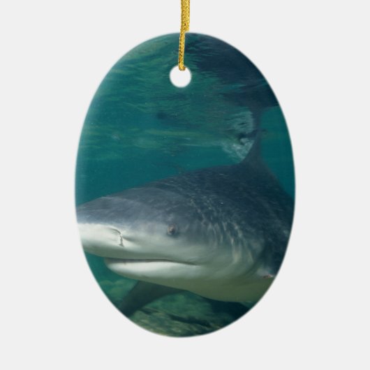 Bullshark Keramik Ornament (Vorne)