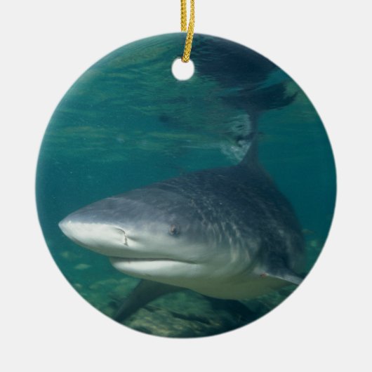 Bullshark Keramikornament (Vorne)