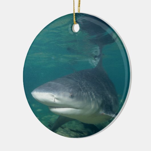 Bullshark Keramikornament (Links)